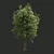 Evergreen Beauty: Stunning Trees 3D model small image 1