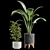 Indoor Plants Collection 3D model small image 3