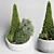 Outdoor Plant Collection: Grass & Thuja Bush in Concrete Vase 3D model small image 2