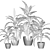 Spotted Dieffenbachia Assortment: Fresh Greenery for Your Home 3D model small image 2