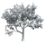 18m Corona Render Tree for Landscaping 3D model small image 5