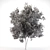 Black Ash Tree - Height 12m 3D model small image 3