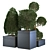 Stunning Indoor Plant Collection 3D model small image 4