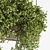 Green Oasis: 228 Hanging Plants Kit 3D model small image 2