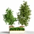 Tropical Indoor Plant Set 3D model small image 1