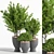 Lush Indoor Plant Set: 28 Varieties 3D model small image 1