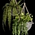 Lush Indoor Hanging Plant Trio 3D model small image 2