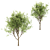  Duo Oak Tree Set  3D model small image 2