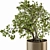 Golden Bonsai Set - Indoor Elegance 3D model small image 4