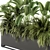 Tropical Paradise: Indoor Plant Set 3D model small image 5