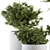 Growth Oasis: Indoor Plant Set 3D model small image 2