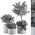 Growth Oasis: Indoor Plant Set 3D model small image 3