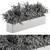 Polypodiales Plant Box Set: Outdoor Beauty 3D model small image 4