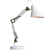 Elegant Maytoni Zeppo Table Lamp 3D model small image 4