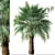 Blue Hesper Palm Delight - Set of 2 3D model small image 2