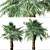 Blue Hesper Palm Delight - Set of 2 3D model small image 4