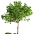 Outdoor Oasis: Elegant 16" Tree 3D model small image 3