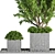 Lush Outdoor Tree - 19 3D model small image 2