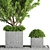 Lush Outdoor Tree - 19 3D model small image 3