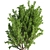 Lush Outdoor Tree - 19 3D model small image 5