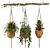 Macrame Hanging Plants Set 3D model small image 1