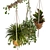 Macrame Hanging Plants Set 3D model small image 2