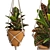 Macrame Hanging Plants Set 3D model small image 5