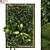 Green Haven Vertical Garden Set 3D model small image 1