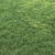 Lush Landscaping Grass: Nature-Inspired 12 Varieties 3D model small image 1