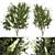 Premium Plant Collection: Vol 220 3D model small image 1