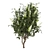 Premium Plant Collection: Vol 220 3D model small image 3