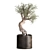 Exotic Olive Tree in Rusty Vase - Plant Collection 989 3D model small image 4