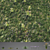 Lush Green Grass Pack: Effortlessly Create Stunning Landscapes 3D model small image 3