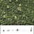 Lush Green Grass Pack: Effortlessly Create Stunning Landscapes 3D model small image 6