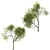 Sweet Maple Duo: 2 Trees 3D model small image 5