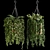 Evergreen Oasis: Hanging Plant Collection 3D model small image 4