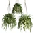 Collection of Hanging Pots for Indoor & Outdoor Plants 3D model small image 1