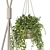 Collection of Hanging Pots for Indoor & Outdoor Plants 3D model small image 2