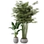 Botanical Oasis - Indoor Plants Set 3D model small image 1