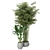 Botanical Oasis - Indoor Plants Set 3D model small image 2