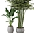 Botanical Oasis - Indoor Plants Set 3D model small image 3