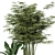 Botanical Oasis - Indoor Plants Set 3D model small image 4