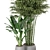 Botanical Oasis - Indoor Plants Set 3D model small image 5