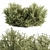 Elegant Buxus Leaf Bush Set 3D model small image 1