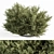 Elegant Buxus Leaf Bush Set 3D model small image 2