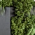 Green Oasis: 230 Indoor Plants 3D model small image 3