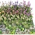 Flower Garden Oasis 3D model small image 4