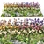 Flower Garden Oasis 3D model small image 10