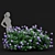 Huge Variety Bigleaf Hydrangeas in 4 Beautiful Colors 3D model small image 4