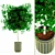 Lush Greenery Bush for Versatile Landscaping 3D model small image 1